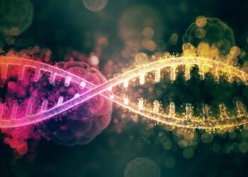 Dihibrit Oranının Modifikasyonları