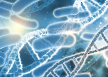 Kalıtımın Kromozom Teorisi