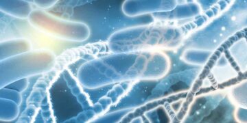 Kalıtımın Kromozom Teorisi