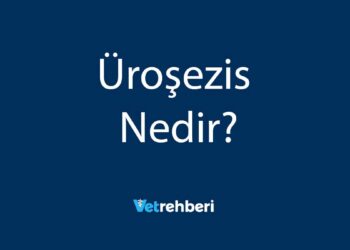Üroşezis Nedir?