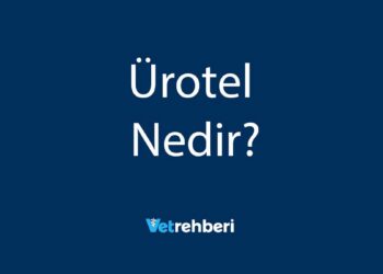 Ürotel Nedir?