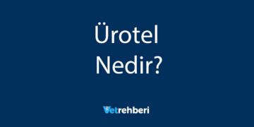 Ürotel Nedir?