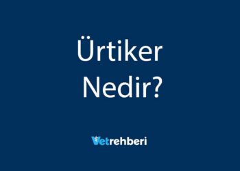 Ürtiker Nedir?