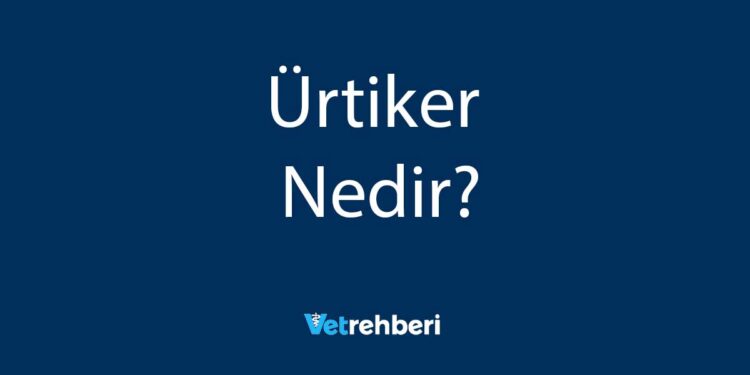 Ürtiker Nedir?