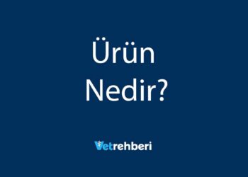 Ürün Nedir?