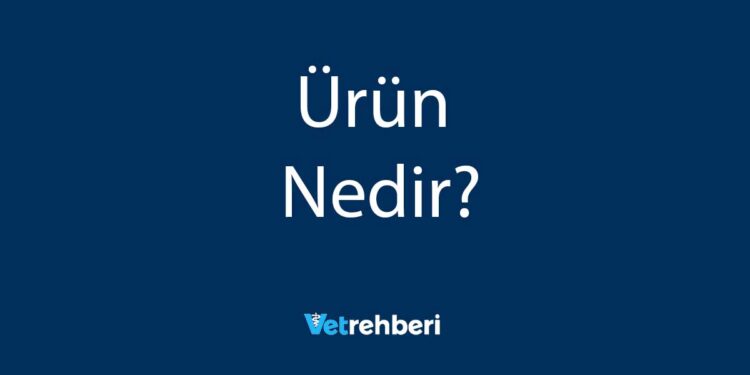 Ürün Nedir?