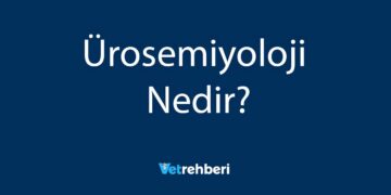 Ürosemiyoloji Nedir?