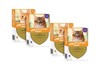 Advantage Multi Kedi