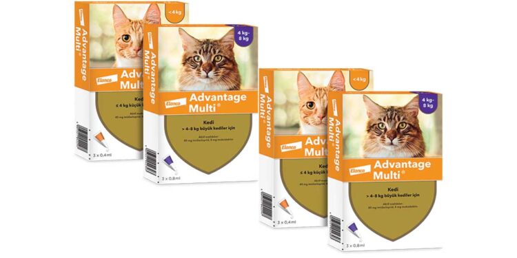 Advantage Multi Kedi