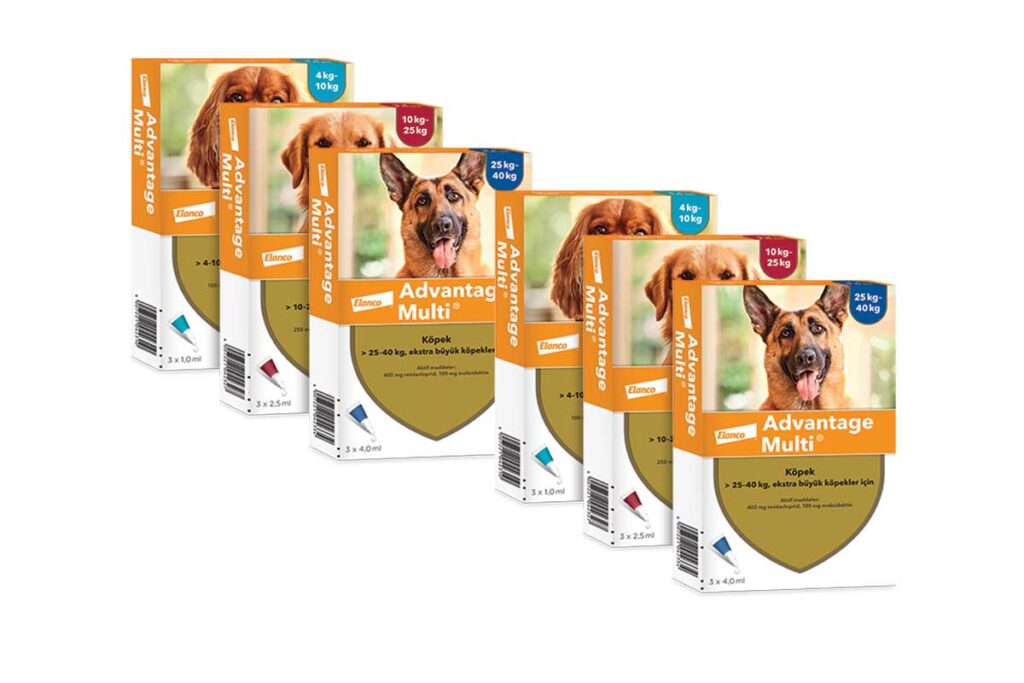 Advantage Multi Köpek