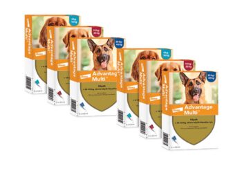 Advantage Multi Köpek