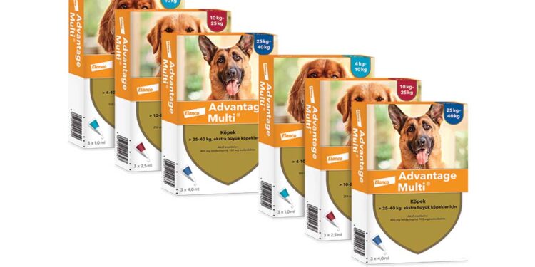 Advantage Multi Köpek