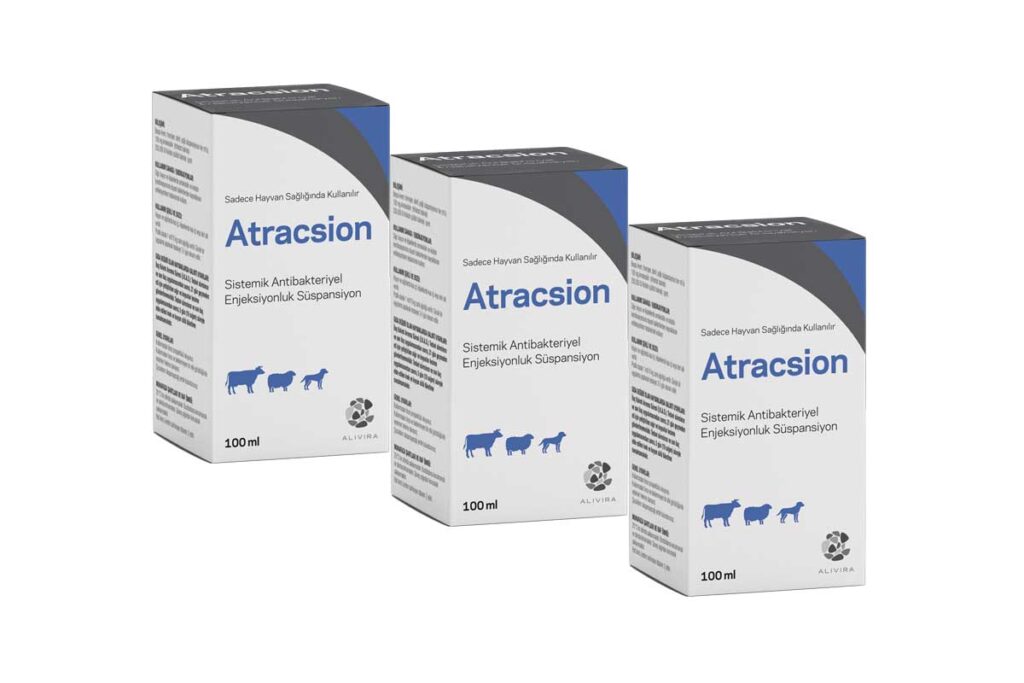Atracsion