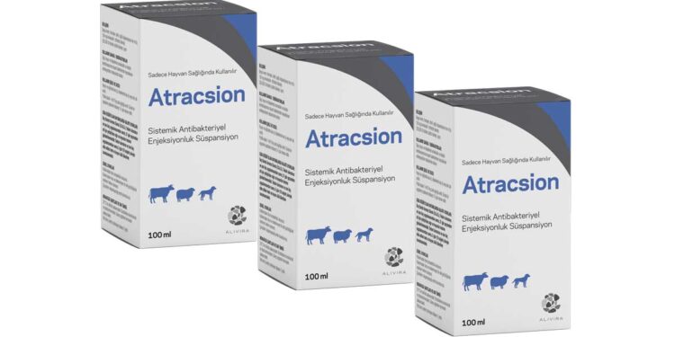 Atracsion