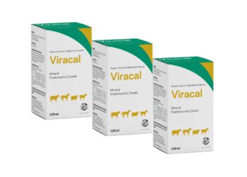 Viracal