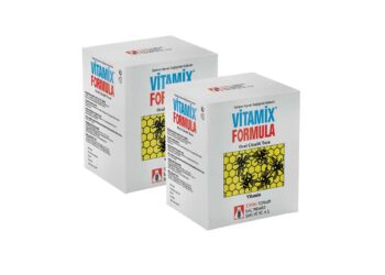 Vitamix Formula