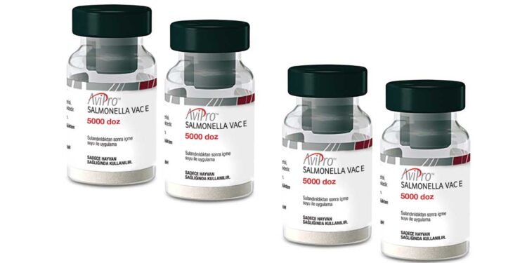 Avipro Salmonella VAC E