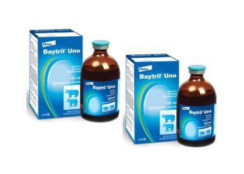Baytril Uno