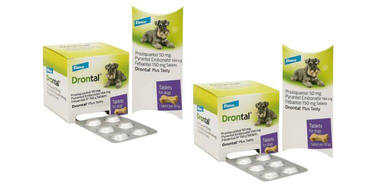 Drontal Dog Tasty