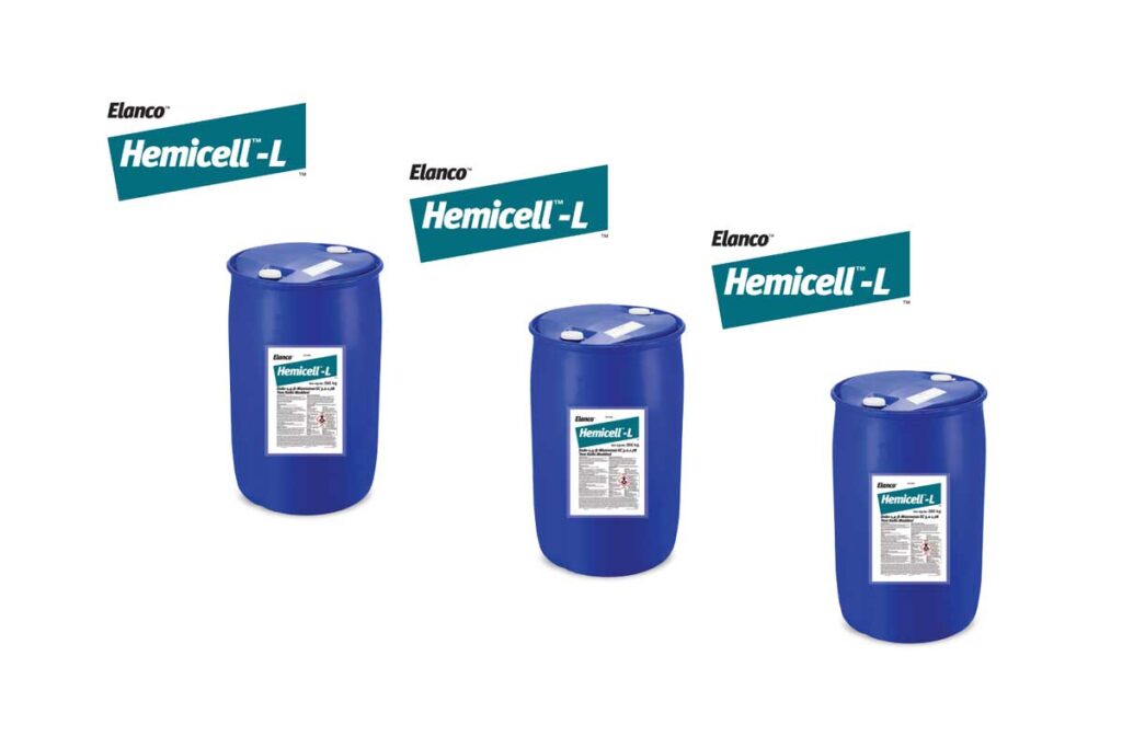 Hemicell L