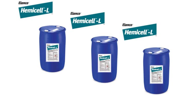 Hemicell L