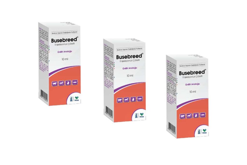 Busebreed