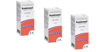Busebreed