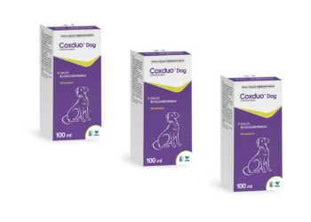 Coxduo DOG