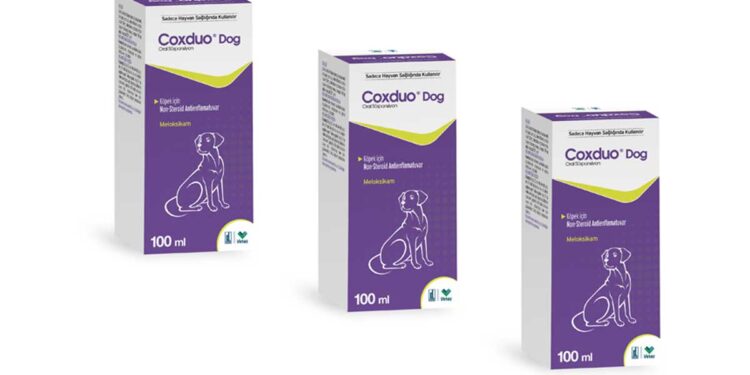 Coxduo DOG