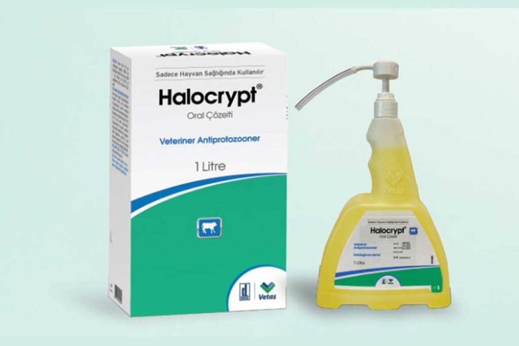 Halocrypt