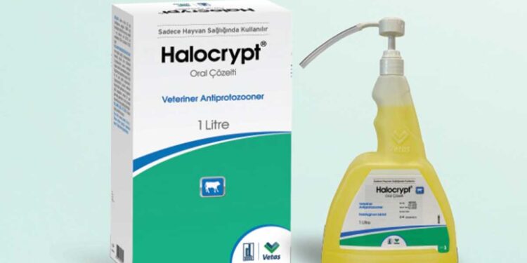 Halocrypt