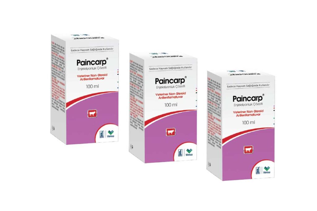 Paincarp