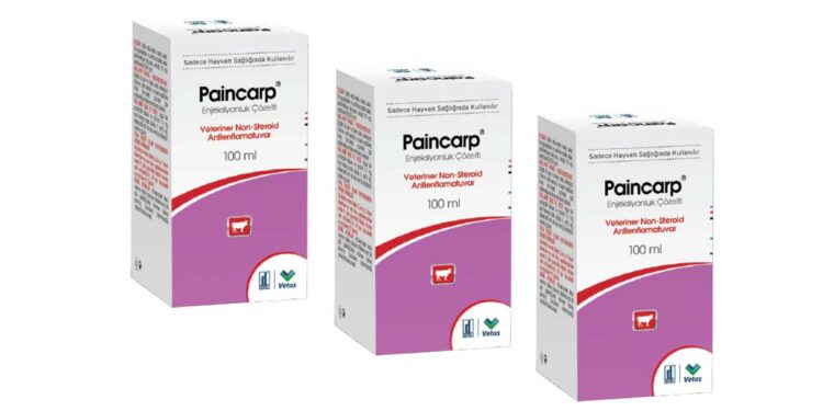 Paincarp