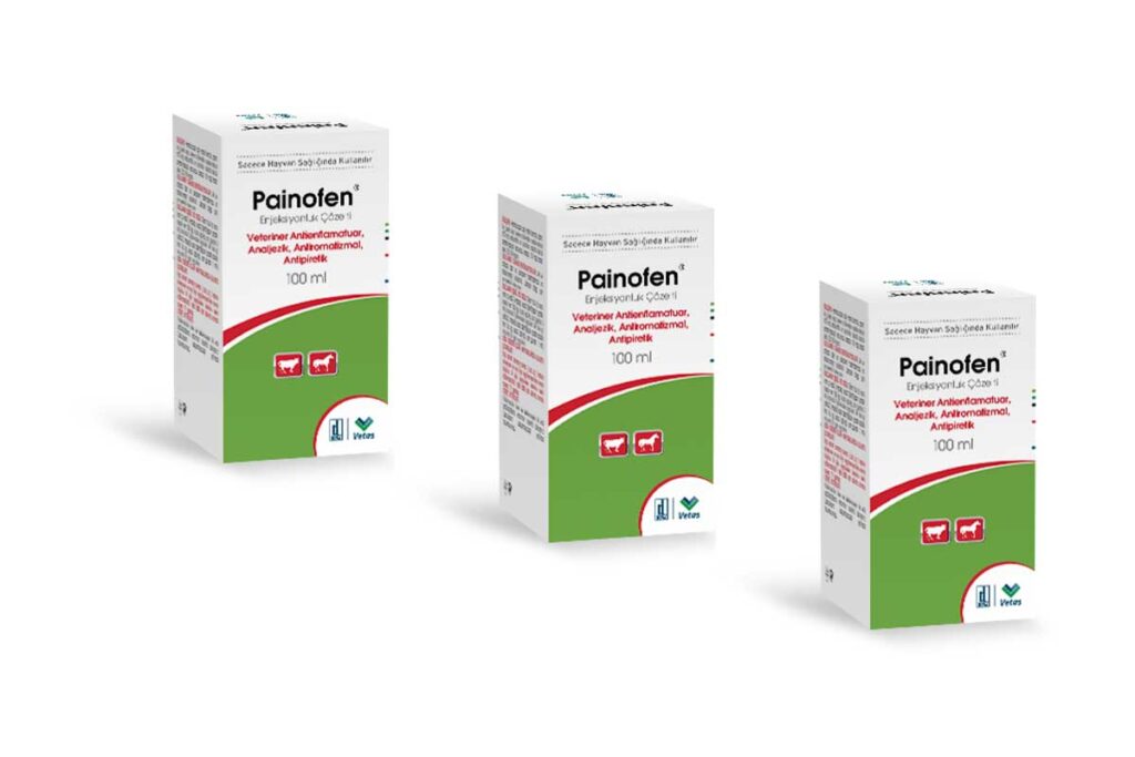 Painofen