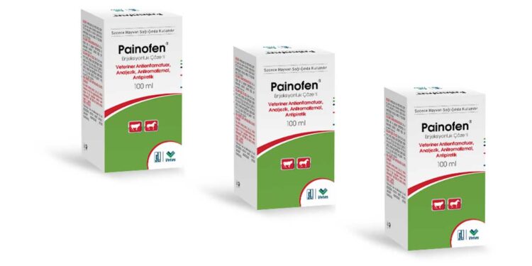 Painofen