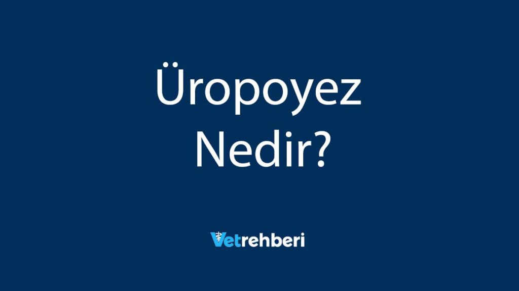 Üropoyez Nedir?