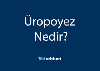 Üropoyez Nedir?