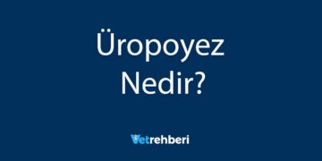 Üropoyez Nedir?