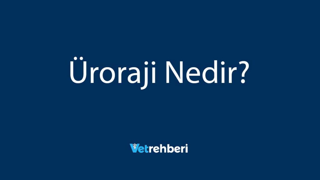 Üroraji Nedir?