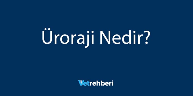 Üroraji Nedir?