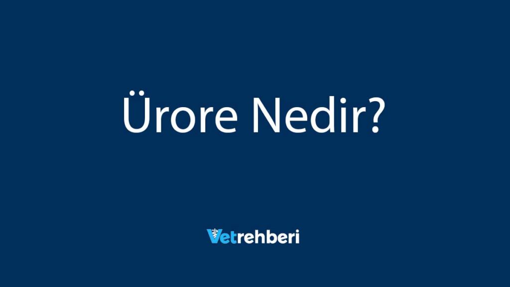 Ürore Nedir?