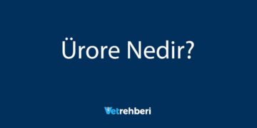 Ürore Nedir?