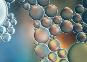 İnterferon Tau (IFNT)