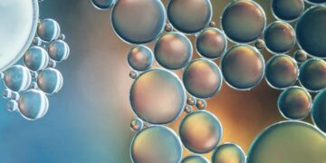 İnterferon Tau (IFNT)