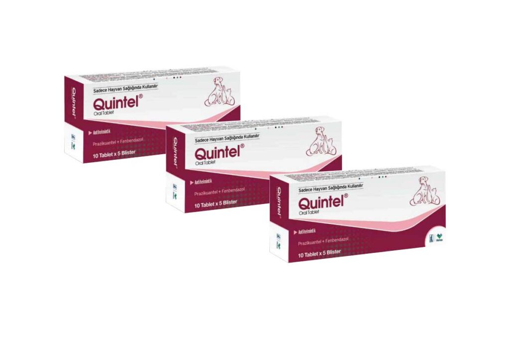 Quintel