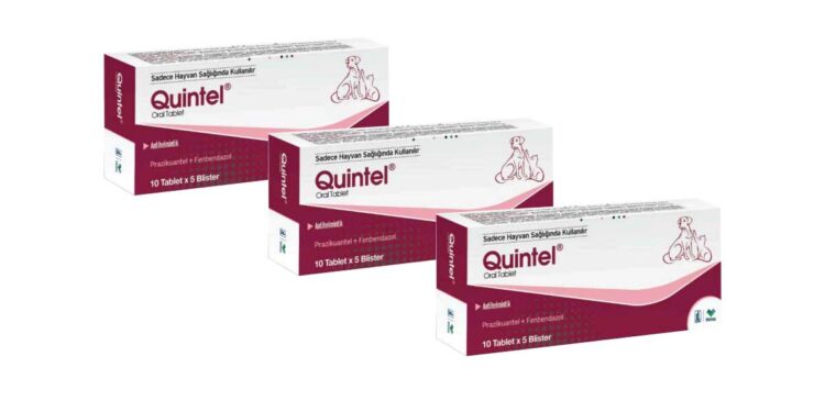 Quintel