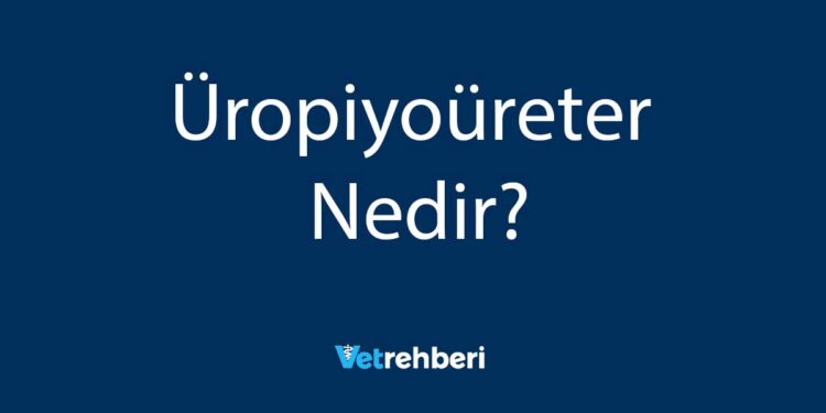 Üropiyoüreter Nedir?