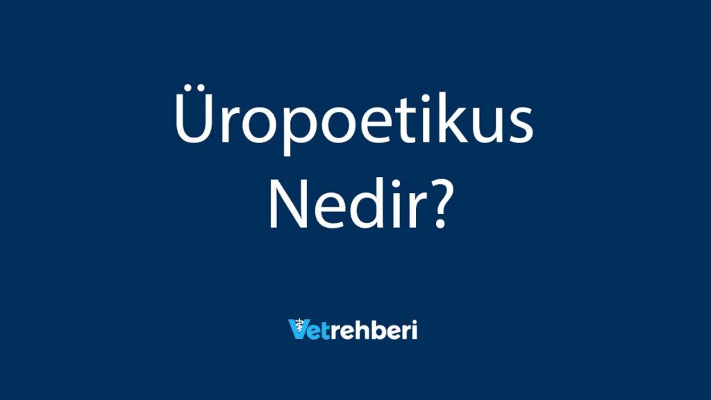 Üropoetikus Nedir?