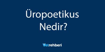 Üropoetikus Nedir?