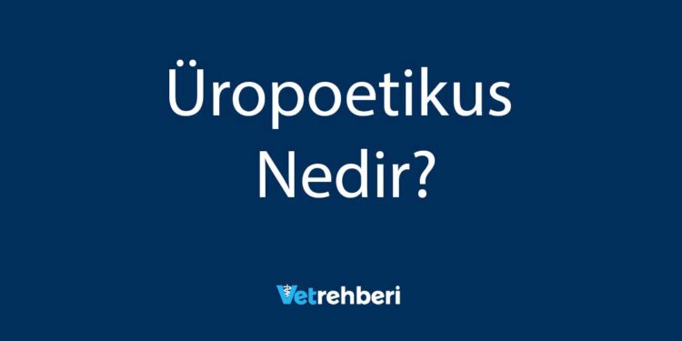 Üropoetikus Nedir?
